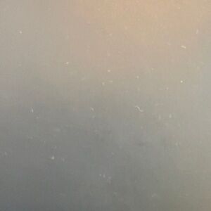 SOLD ***** Men’s White Shoes ***** SOLD